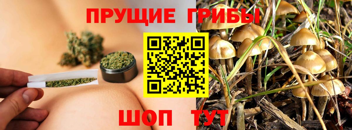 Конопля  Cocaine  Вход с VPN  Белая Калитва  ГАШИШ  Меф  